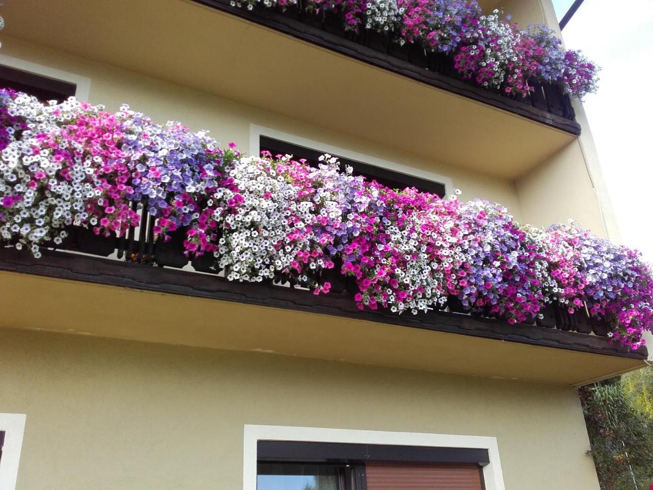 Appartement - Ferienwohnungen - Gaestehaus Gabriele Drobollach am Faakersee Eksteriør billede