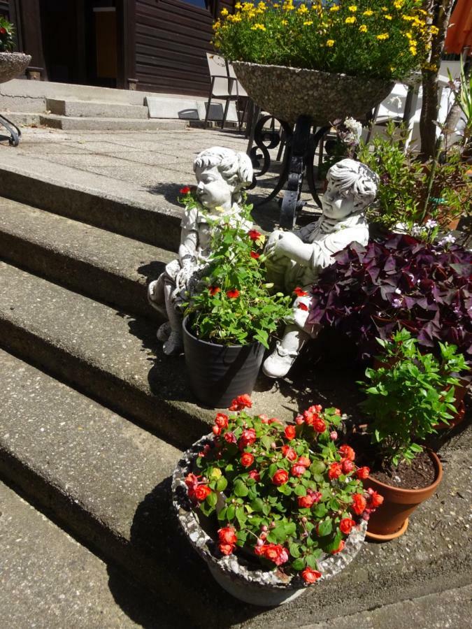 Appartement - Ferienwohnungen - Gaestehaus Gabriele Drobollach am Faakersee Eksteriør billede