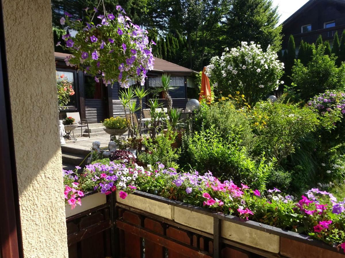 Appartement - Ferienwohnungen - Gaestehaus Gabriele Drobollach am Faakersee Eksteriør billede
